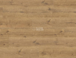 Haro Tritty 100 Gran Via 4V ДУБ ПОРТЛЭНД НАТУР 533141 фото 1 | FLOORDEALER